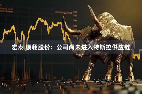 宏泰 鹏翎股份：公司尚未进入特斯拉供应链